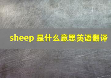 sheep 是什么意思英语翻译